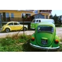 fot.Artek