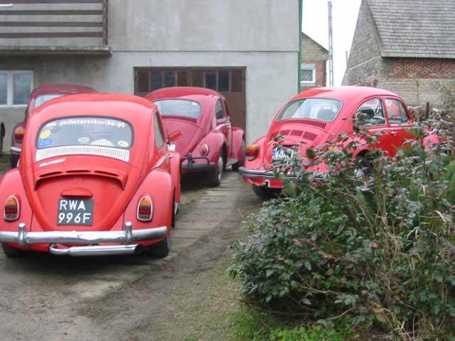 193_9331.jpg
