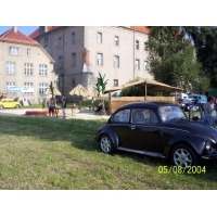fot.Dominik