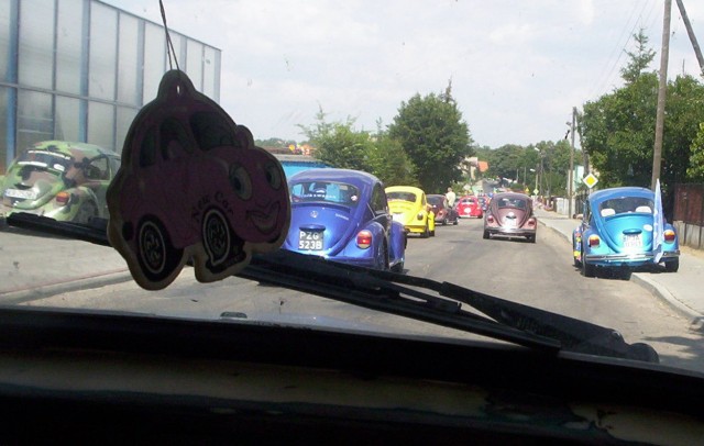 fot.Dominik