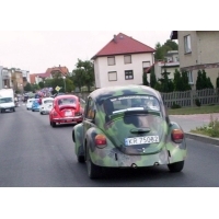 fot.Dominik