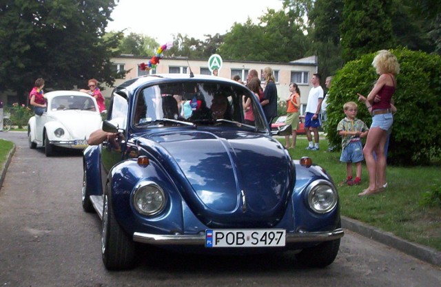fot.Dominik