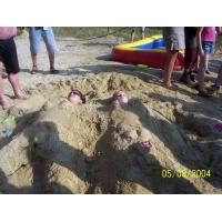 fot.Dominik