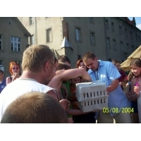 fot.Dominik