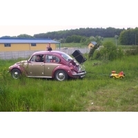 fot.Dominik