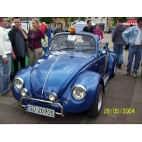 fot.Dominik