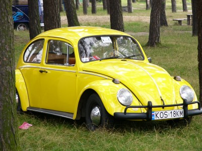 fot_Artek_canon_305.jpg