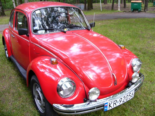 P1010238.jpg