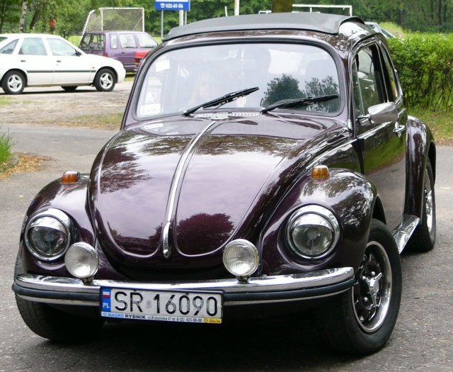 P1010246.jpg