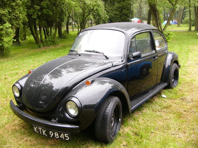 P1010310.jpg