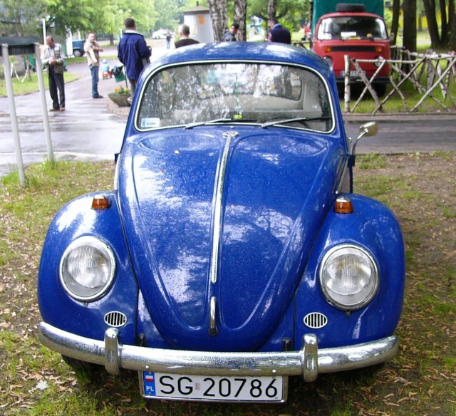 P1010333.jpg