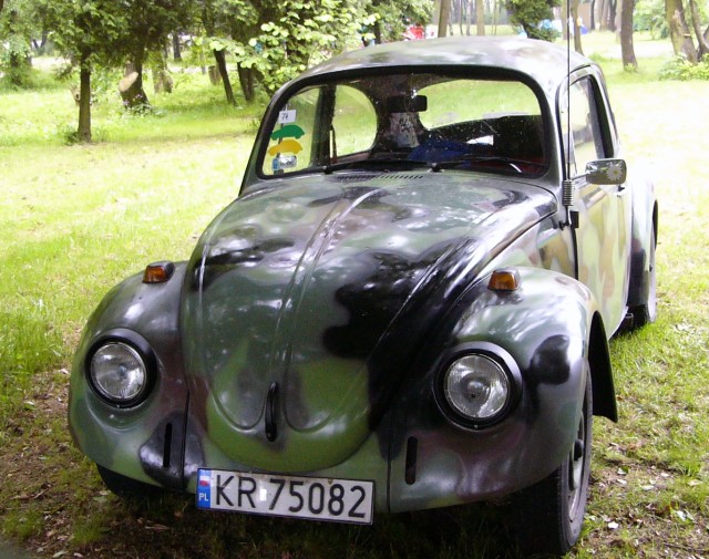 P1010364.jpg