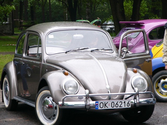 P1010605.jpg