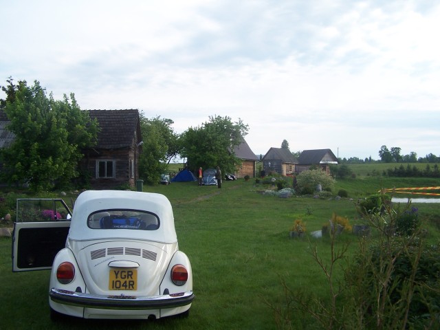 fot.Magnus