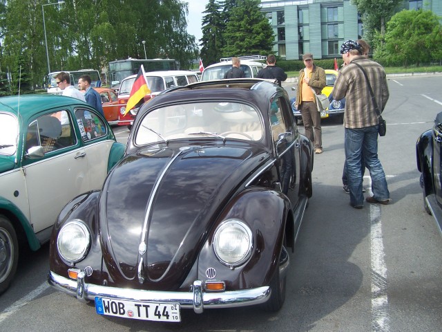 fot.Magnus