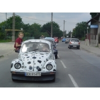 fot.Laska