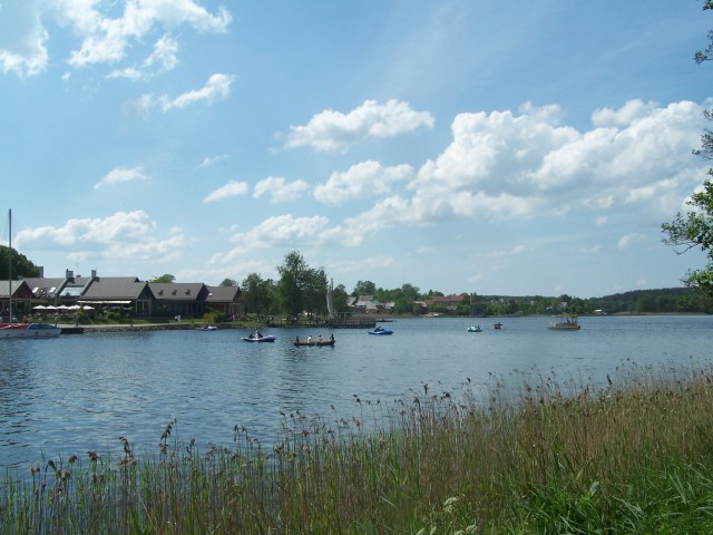 fot.Magnus