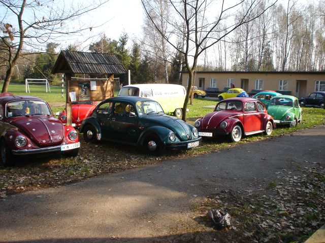 DSC01490.jpg