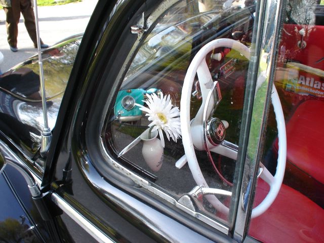 DSC01544.jpg