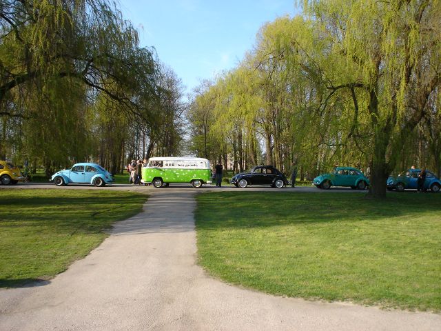 DSC01549.jpg