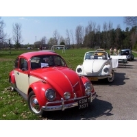2005pieklo04.jpg