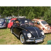 PICT0091.jpg
