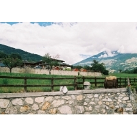 WAKACJE20005_1239.jpg