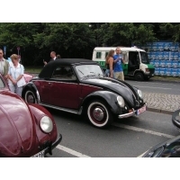 parada_herbi_berlin_060.jpg