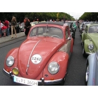 parada_herbi_berlin_116.jpg