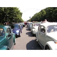 parada_herbi_berlin_128.jpg