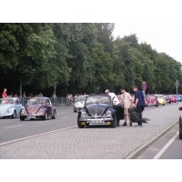 parada_herbi_berlin_237.jpg
