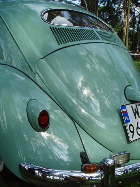 P8190041.jpg