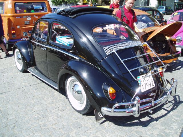 P8200080.jpg