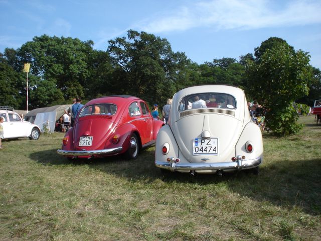 garby_049.jpg