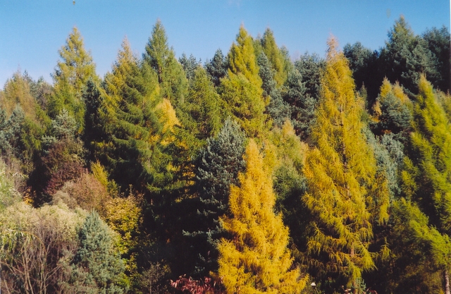 p22.jpg