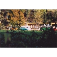 p7.jpg