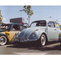 Scan0006a.jpg