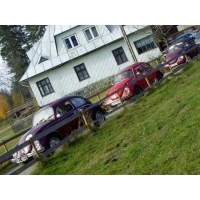 * Istebna