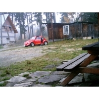 fot.Dominik