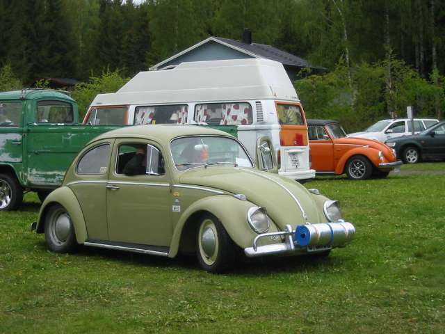image_239.jpg