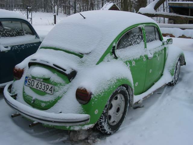 Bartuś