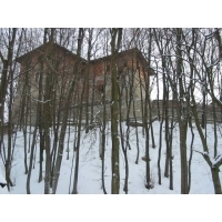 zamek za drzewami