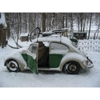 Filipowy