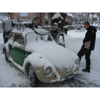 oględziny
