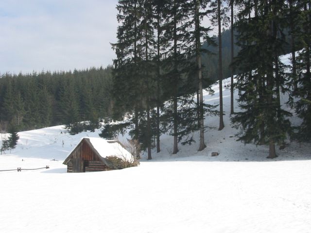 IMG_0005.jpg
