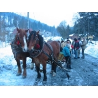 IMG_0033.jpg