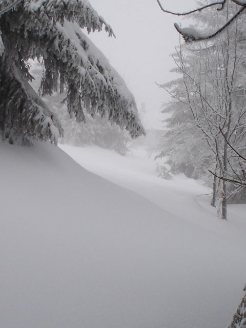 DSC04710.jpg