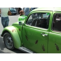 fot.Artek