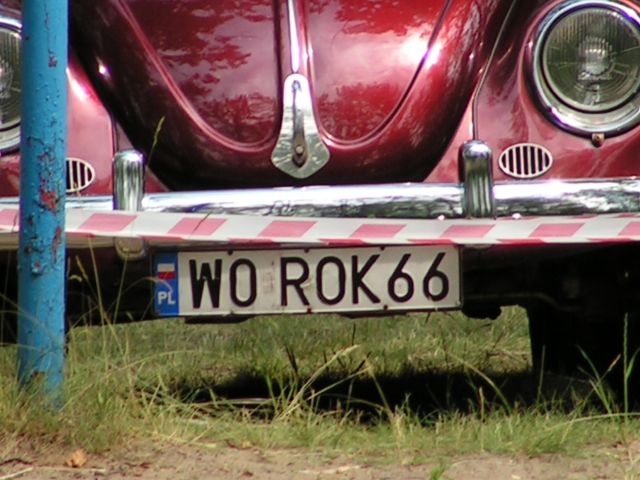 fot.Artek