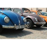 fot.Michał "VW TRENDS" 